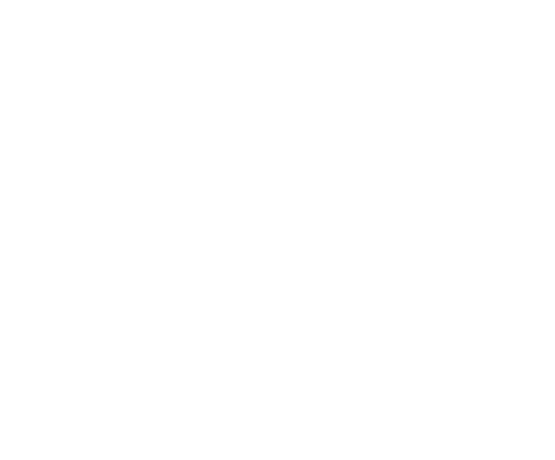 Ocean Palace Logo's wit